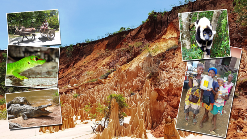 Beeindruckende Reiseerlebnisse aus Madagaskar