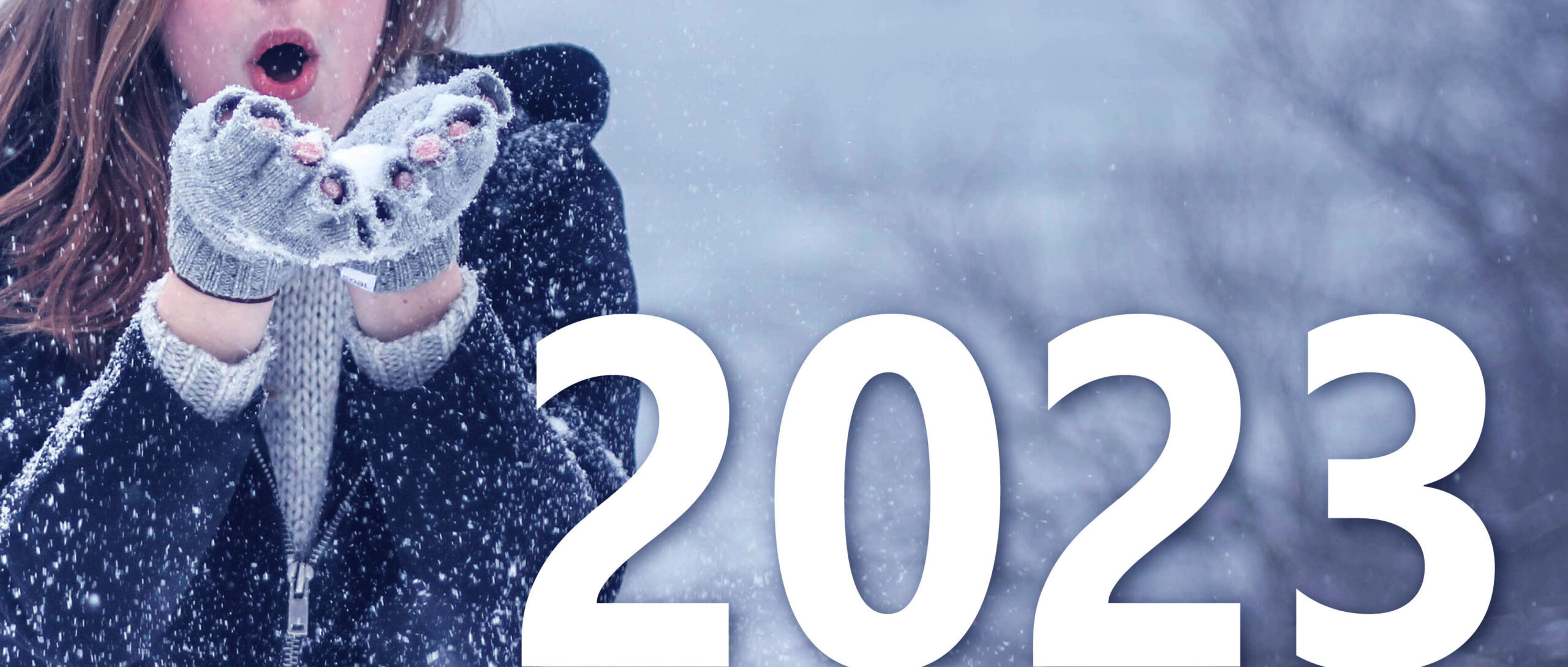 Veranstaltungen im I. Quartal 2023